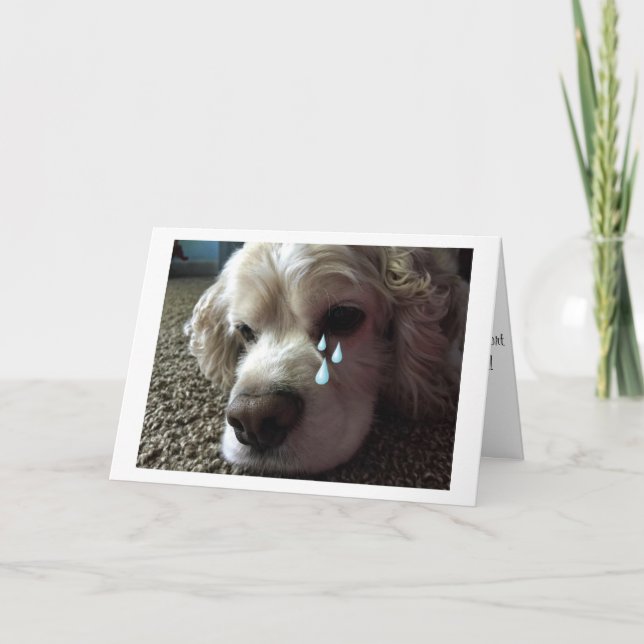 PÉRDIDA DE TARJETA DE SIMPATÍA "MASCOTA DE LA FAMI (Anverso)