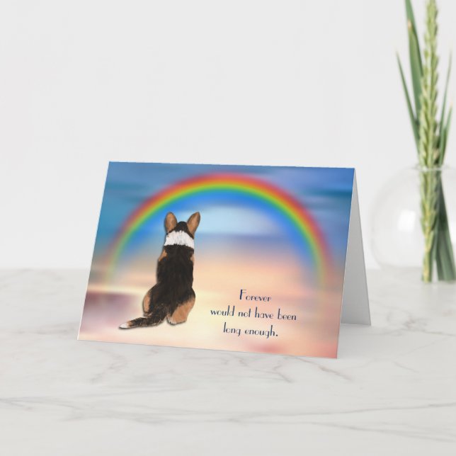 Pérdida de tarjeta de solidaridad con el arco iris (Anverso)
