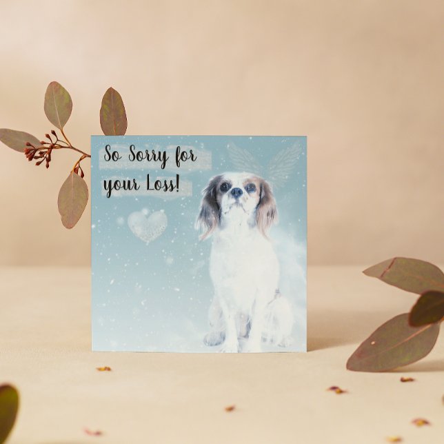 Pérdida de una tarjeta de perro Mascota (Subido por el creador)