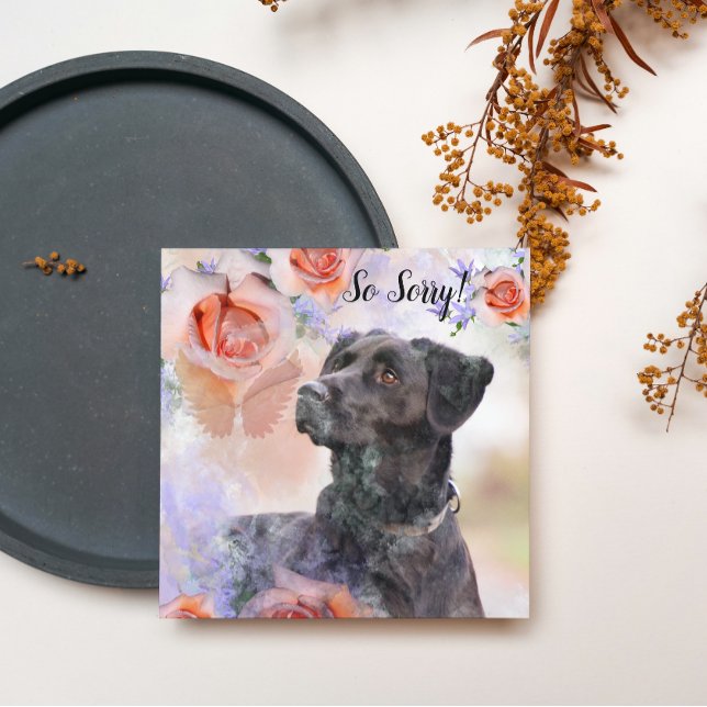 Pérdida de una tarjeta de perro Mascota (Subido por el creador)