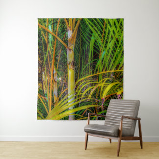 Pérdida en el tapiz de palmas de Areca