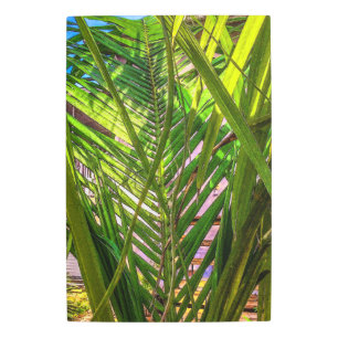 Perdida en la Palm Fronds Arte Pared Metalizado