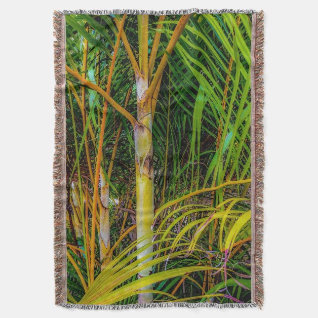 Pérdida en palmas de Areca lanzando una manta (Frente vertical)