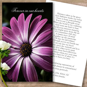 Pérdida funeraria Púrpura Daisy Oración Cartas de