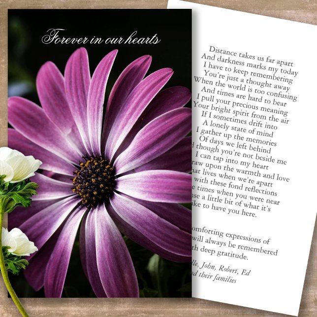 Pérdida funeraria Púrpura Daisy Oración Cartas de  (Forever in our hearts, celebration of life, in loving memory of, prayer cards for bereavement)