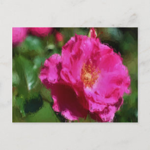 Pérdida rosa rosa dibujando postal floral