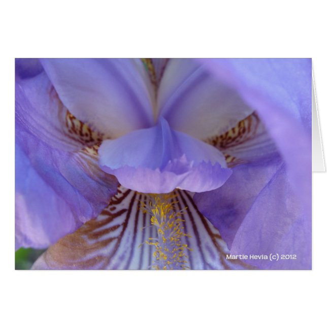 Perdido en un sueño (Anverso (Horizontal))