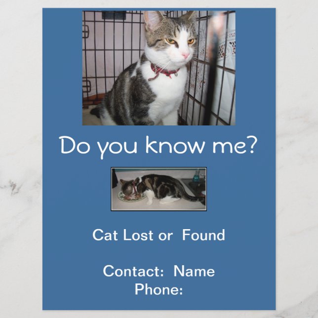 Perdido o Encontrado Gato Volante de Buzón (Frente)