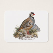 Perdiz Griega ,Alectoris Graeca Aves de Caza
