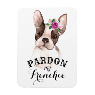 Perdón por mi imán francés