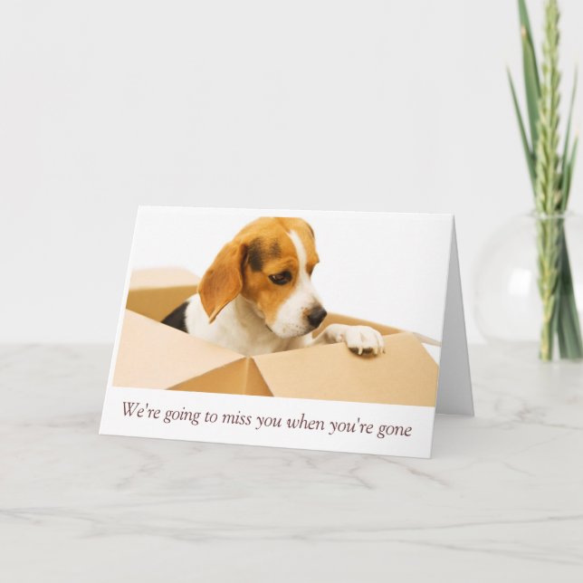 Perdón por ver que vas con la tarjeta (Anverso)