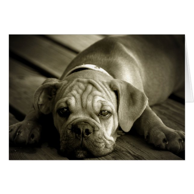 Perdóname (Anverso (Horizontal))