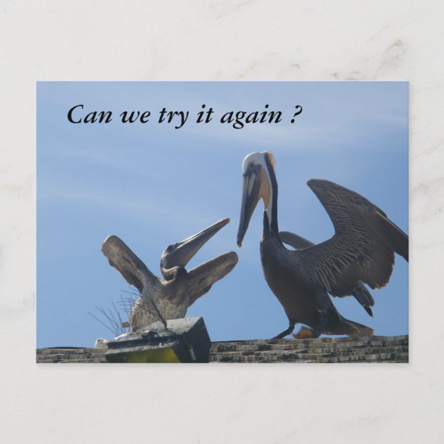 Perdóname/ Sal conmigo_ postal (Anverso)