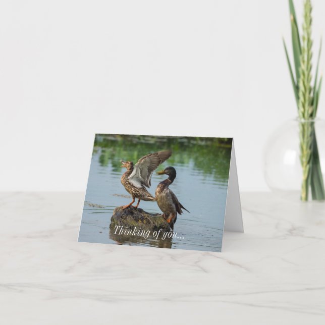 Perdone Que Piense En Su Tarjeta (Anverso)