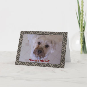 Perdone tarjeta Guilty Schnauzer