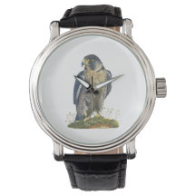 Peregrine Falcon Leather reloj de pulsera atada