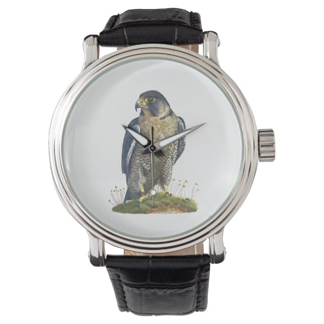 Peregrine Falcon Leather reloj de pulsera atada (Anverso)
