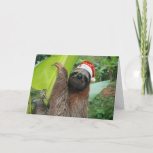 Pereza de las Felices Navidad