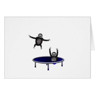 perezas trampolining