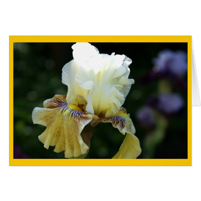 Perfección del iris (Anverso (Horizontal))
