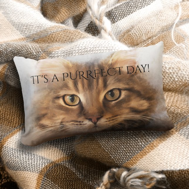 Perfecto almohada de gato de Tabby Maine Coon (A lovely pillow featuring a painting of a tabby Maine Coon cat and your custom text)