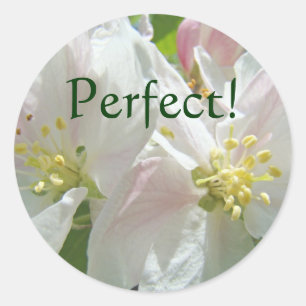 ¡Perfecto! pegatinas personalizadas Flores de Manz
