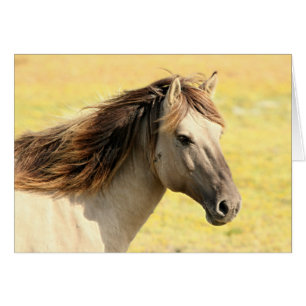 Perfil de caballo beige