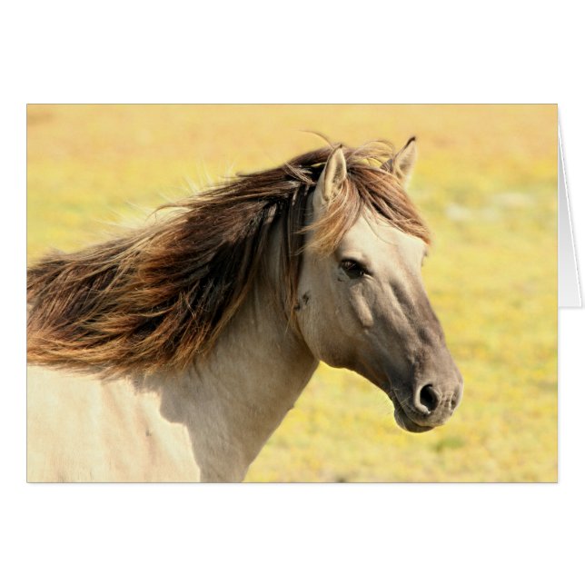 Perfil de caballo beige (Anverso (Horizontal))