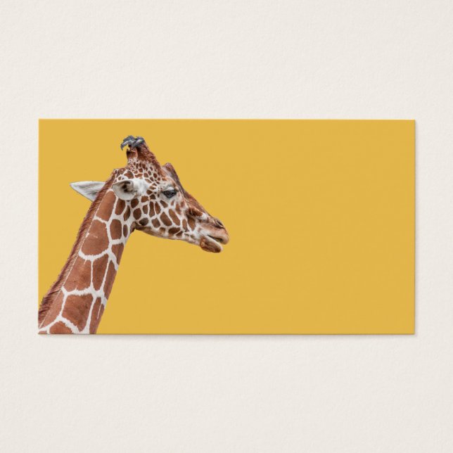 Perfil de Giraffe (Frente)