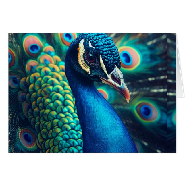 Perfil de pavo real en blanco dentro (Anverso (Horizontal))