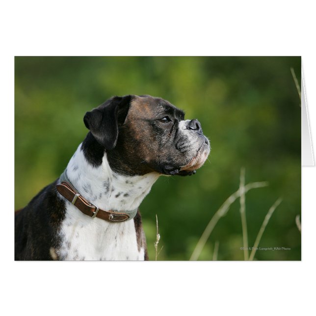 Perfil de perro de Boxer (Anverso (Horizontal))