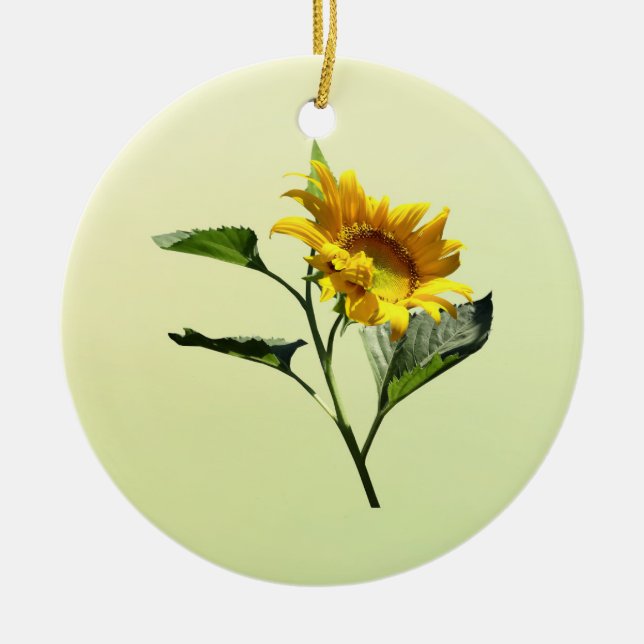 Perfil de un ornamento cerámico de girasol (Frente)