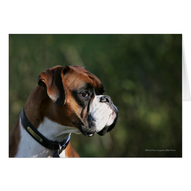 Perfil lateral del perro del Boxer (Anverso (Horizontal))