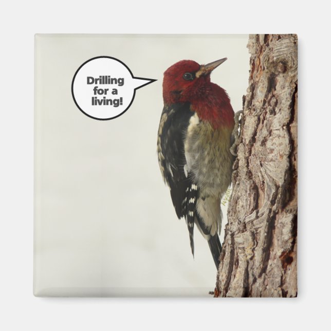 Perforación para un imán viviente (Frente)