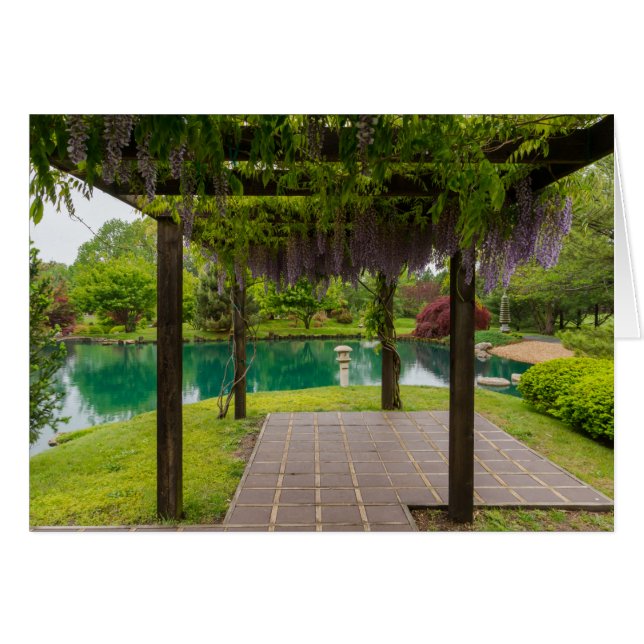 Pérgola De Wisteria (Anverso (Horizontal))