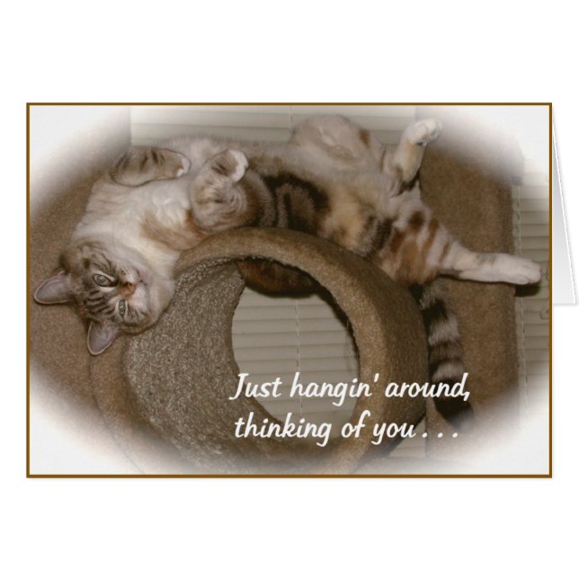 Periwinkle el gato (Anverso (Horizontal))