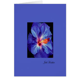 Periwinkle~Uno de los colores más usados