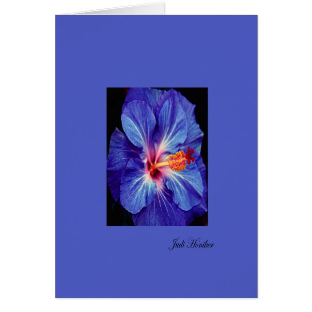 Periwinkle~Uno de los colores más usados (Frente)