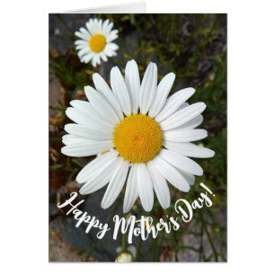 Perky White Daisy Flower Tarjeta del Día de la Mad