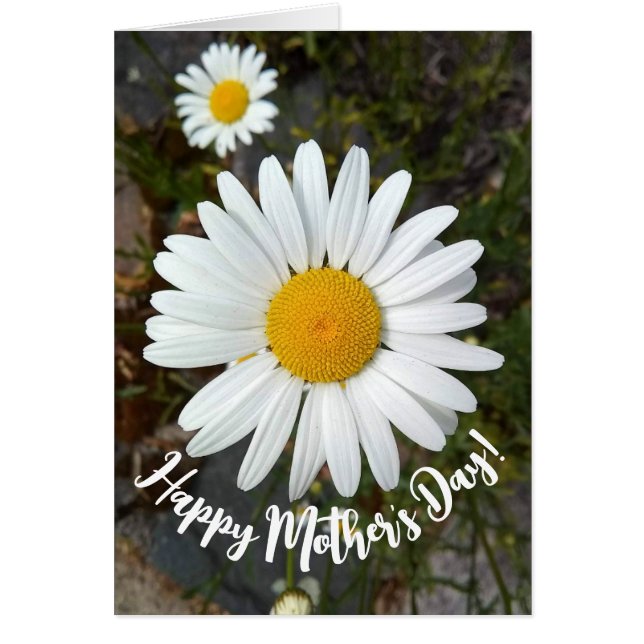 Perky White Daisy Flower Tarjeta del Día de la Mad (Frente)