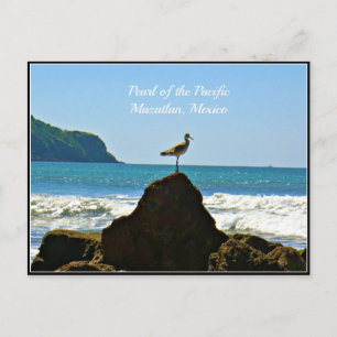 Perla del Pacífico, Tarjeta de Gaviota Mazatlán Mé