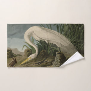 Perón blanco, gran hierba, aves auduónicas de Amér