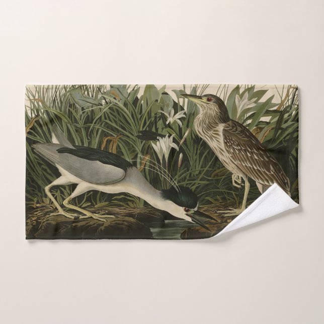 Perón nocturno, pájaro qua, pájaros de América de  (Toalla de mano)