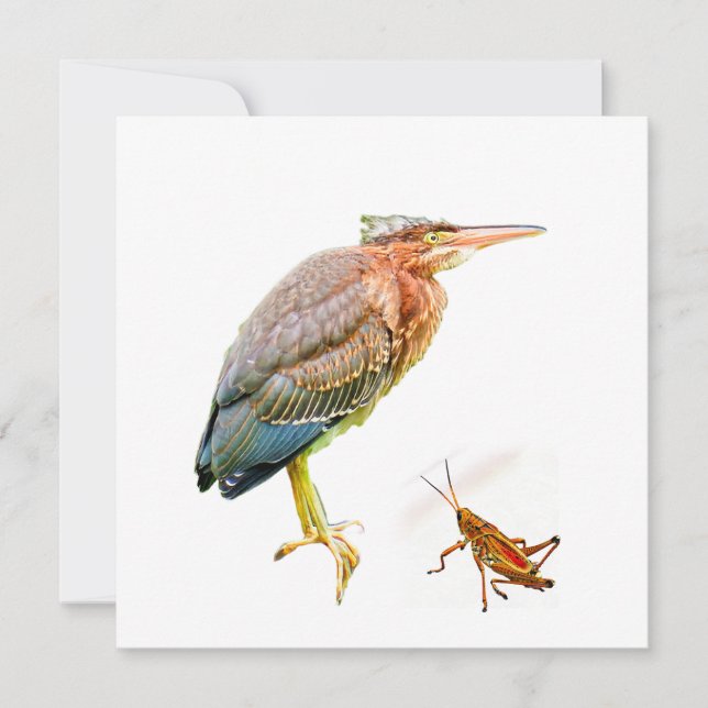 Perón verde y Grasshopper (Anverso)