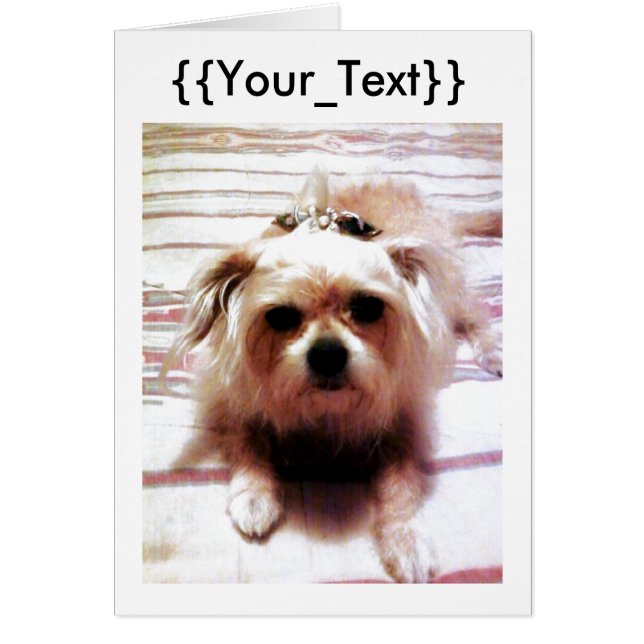 Perrito Adorable (Frente)