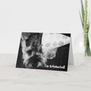 Perrito agotado con la tarjeta de cumpleaños del