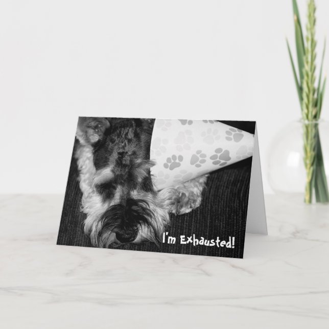 Perrito agotado con la tarjeta de cumpleaños del (Anverso)