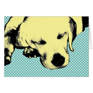 Perrito amarillo del laboratorio