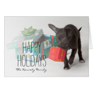 Perrito con los regalos del navidad