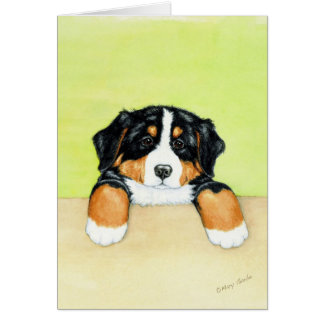 Perrito de Berner